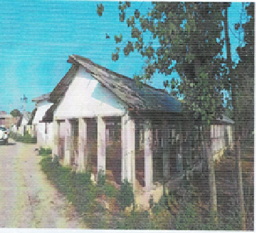 LALIT POULTRY 21.060